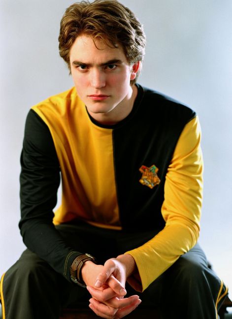 cedric-cedric-diggory-2695247-1500-2062.jpg