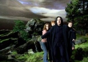 harry.jpg