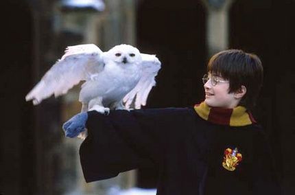 harry_potter1.jpg