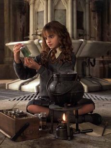 harry_potter_hermione_harry_potter_es_a_titkok_kamraja.jpg