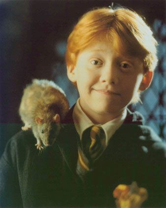 ron7.jpg